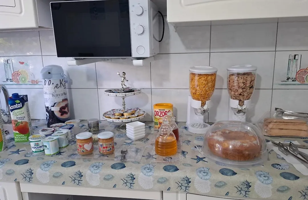Phiniscollis B&B-1